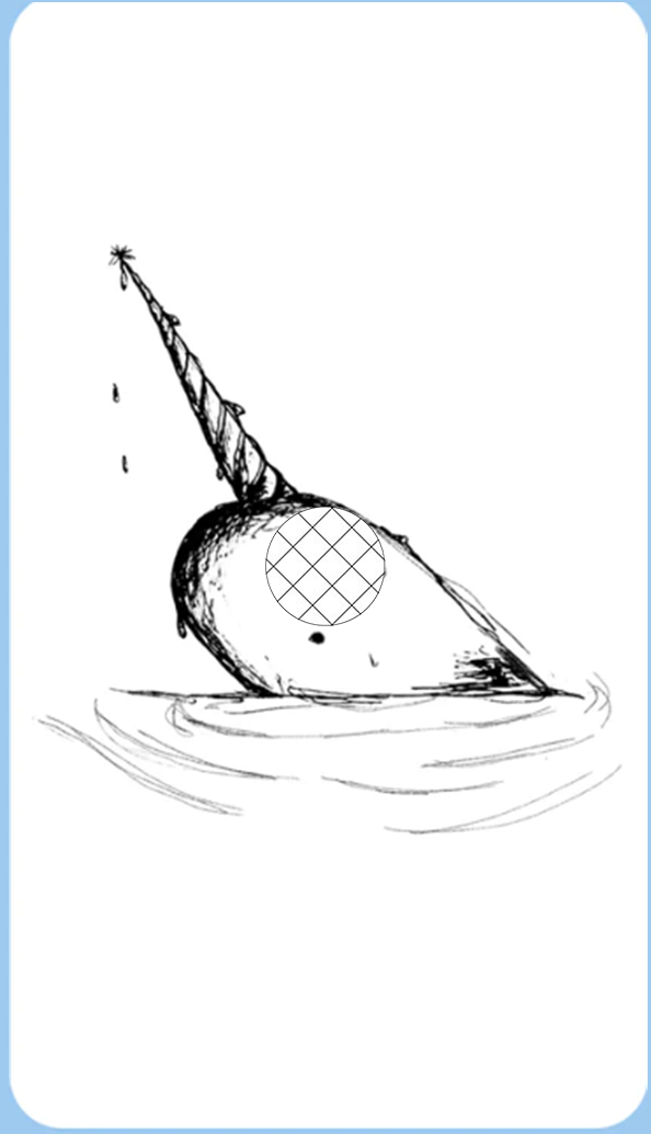 Narwhal